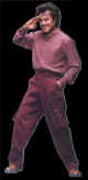 Padayappa 4